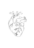 Heart Anatomy Line Art | Luo oma juliste