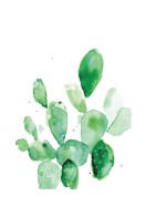 Cactus Watercolor Art | Luo oma juliste