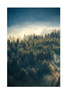 Misty Forest | Luo oma juliste