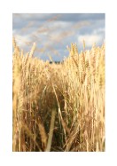 Wheat Field | Luo oma juliste