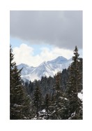 View Of Snowy Mountain And Forest | Luo oma juliste