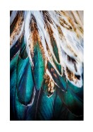 Colorful Feathers | Luo oma juliste