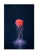 Vibrant Jellyfish In The Ocean | Luo oma juliste