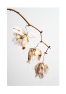 Dried Flower Petals | Luo oma juliste