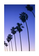Palm Trees At Sunset In California | Luo oma juliste