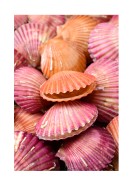 Pink Sea Shells | Luo oma juliste