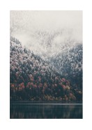 Foggy Forest | Luo oma juliste