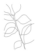 Botanical Line Art | Luo oma juliste
