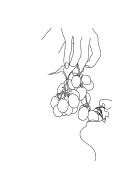 Grapes Line Art | Luo oma juliste